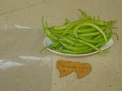 Buzlukta Yemeklik Biber Saklama Yöntemi