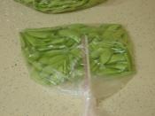 Çiğden Taze Fasulyeyi Buzlukta Saklama Yöntemi