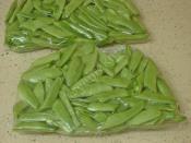 Çiğden Taze Fasulyeyi Buzlukta Saklama Yöntemi