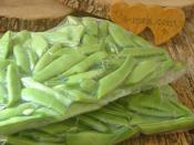 Çiğden Taze Fasulyeyi Buzlukta Saklama Yöntemi