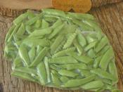 Çiğden Taze Fasulyeyi Buzlukta Saklama Yöntemi