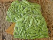 Çiğden Taze Fasulyeyi Buzlukta Saklama Yöntemi