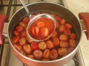 Kızılcık Kompostosu