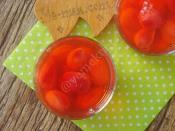 Kızılcık Kompostosu