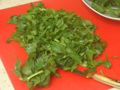 Kereviz Yaprağı Salatası