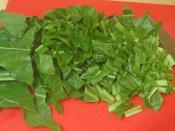 Yoğurtlu Pazı Kavurması