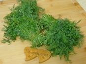 Buzlukta Dereotu Saklama