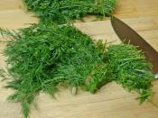 Buzlukta Dereotu Saklama