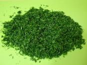 Buzlukta Dereotu Saklama