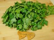 Buzlukta Maydanoz Saklama