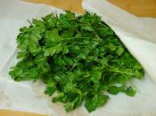 Buzlukta Maydanoz Saklama