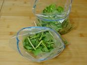 Dondurucuda Semizotu Saklama