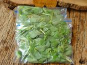 Dondurucuda Semizotu Saklama