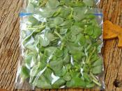 Dondurucuda Semizotu Saklama