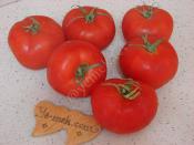 Fırında Domates Közleme