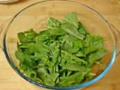 Kuzukulağı Salatası