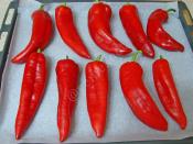 Közlenmiş Kırmızı Biber Sosu