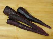 Mor Havuçlu Tarator