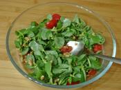 Cevizli Semizotu Salatası