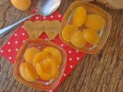 Taze Kayısı Kompostosu