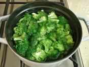 Brokolili Fırın Makarna