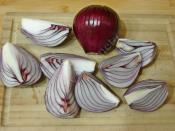 Hızlı Soğan Turşusu