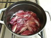 Hızlı Soğan Turşusu