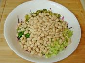 Kırmızı Lahanalı Fasulye Salatası