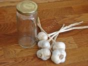 Buzdolabında Soyulmuş Sarımsak Saklama