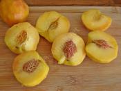 Buzlukta Şeftali Saklama