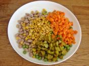 Bezelyeli Barbunya Salatası