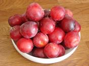 Buzlukta Erik Saklama