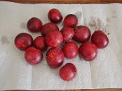 Buzlukta Erik Saklama