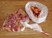 Buzlukta Erik Saklama