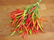 Acı Biber Nasıl Kurutulur