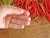 Acı Biber Nasıl Kurutulur