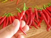 Acı Biber Nasıl Kurutulur