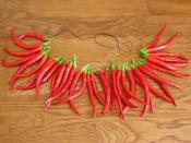 Acı Biber Nasıl Kurutulur