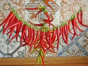 Acı Biber Nasıl Kurutulur