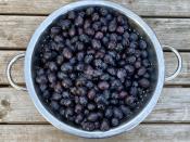 Siyah Zeytin