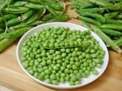 Buzlukta Bezelye Saklama Yöntemi