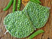 Buzlukta Bezelye Saklama Yöntemi