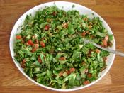 Semizotlu Kaşık Salatası