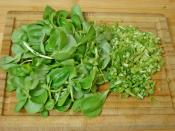 Semizotu Yoğurtlaması