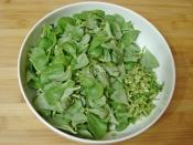 Semizotu Yoğurtlaması