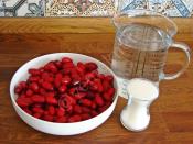 Kızılcık Konservesi