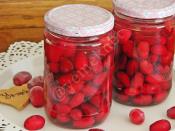 Kızılcık Konservesi