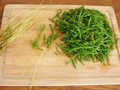 Yoğurtlu Deniz Börülcesi