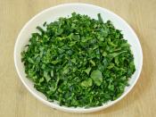 Yufkasız Ispanaklı Börek