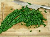 Yoğurtlu Pazı Mezesi